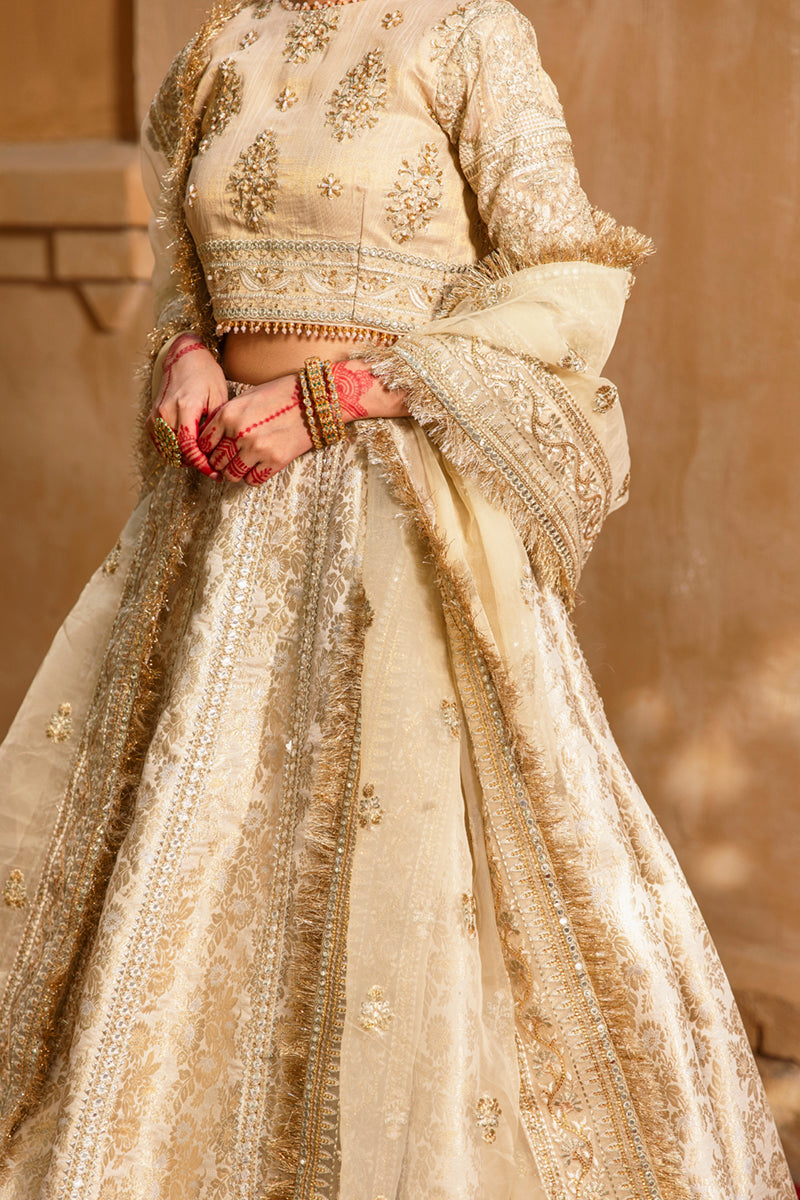 Formal Wedding Dress , Indian Woman Wedding Dress , Pakistani Woman wedding Dress