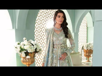 Pakistani Woman Wedding Dress , Indian Woman Wedding Dress , Woman Wedding Reception Dress , Woman Shandi Dress